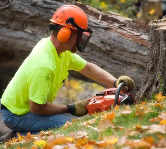 tree services Lake Norman of Catawba